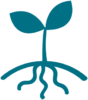Frame-3-88x100.png.webp