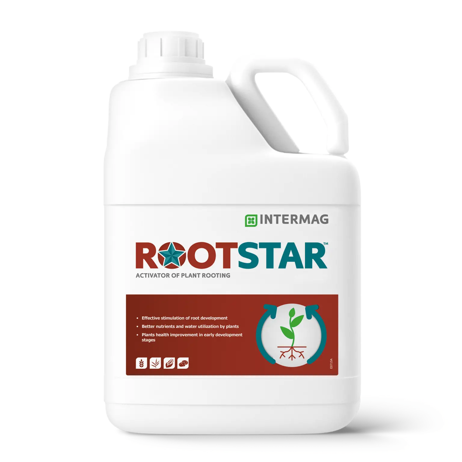 Rootstar-EN-1536x1536